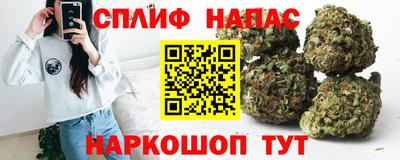 Альфа ПВП Пенза