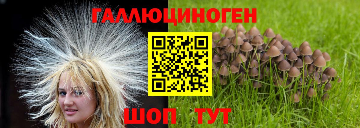 Псилоцибиновые грибы GOLDEN TEACHER  Вход с VPN  Валуйки 